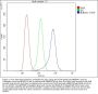 Anti-CASR Antibody Picoband® (monoclonal, 11E9)