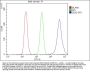 Anti-DDX5 Antibody PicobandÂ® (monoclonal, 3F9)