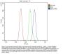 Anti-EEF2 Picoband® Antibody (monoclonal, 5F5)