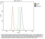 Anti-EEF2 Picoband® Antibody (monoclonal, 5F5)