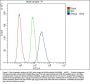 Anti-GNAQ Antibody Picoband® (monoclonal, 13H4)