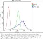 Anti-Optineurin/OPTN Antibody Picoband® (monoclonal, 3D8)