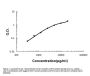 Anti-Cystatin C/CST3 Antibody (monoclonal, 8H7)