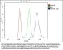 Anti-Hsc70 Antibody PicobandÂ®(monoclonal, 3B6)