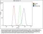 Anti-Hsc70 Antibody PicobandÂ®(monoclonal, 3B6)