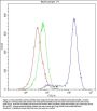 Anti-Human CRM1 DyLight® 488 conjugated XPO1 Antibody (monoclonal, 5G3)