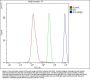 Anti-CRM1 XPO1 Antibody Picoband® (monoclonal, 5G3)