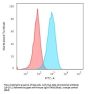 Anti-HLA-DRA (MHC II) Monoclonal Antibody