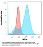 Anti-S100A4 (Marker of Tumor Metastasis) Monoclonal Antibody