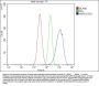 Anti-Hsp60/HSPD1 Antibody Picoband® (monoclonal, 6G2)