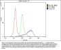 Anti-CD43/SPN Antibody Picoband® (monoclonal, 4I3)