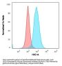 Anti-CD22 / BL-CAM Monoclonal Antibody