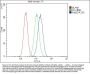Anti-RAB27A Antibody Picoband® (monoclonal, 2F5)