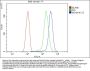 Anti-CD146/MCAM Antibody Picoband® (monoclonal, 4C12)