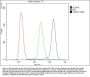 Anti-CD2AP Antibody Picoband® (monoclonal, 5F8)