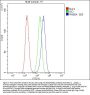 Anti-Rab5/RAB5A Antibody Picoband® (monoclonal, 3E9)