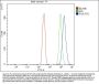 Anti-POR Antibody Picoband® (monoclonal, 7F5)