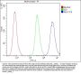 Anti-ADK Antibody Picoband® (monoclonal, 7F4)