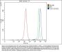 Anti-Talin 1/TLN1 Antibody Picoband® (monoclonal, 2G10D2)