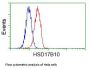 Anti-ERAB (HSD17B10) Mouse Monoclonal Antibody [Clone ID: OTI10B4]