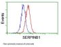 Anti-SERPINB1 Mouse Monoclonal Antibody [Clone ID: OTI1D1]