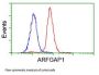 Anti-ARFGAP1 Mouse Monoclonal Antibody [Clone ID: OTI1F6]