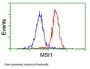 Anti-MSI1 Mouse Monoclonal Antibody [Clone ID: OTI1G8]