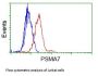 Anti-PSMA7 Mouse Monoclonal Antibody [Clone ID: OTI8F9]