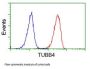 Anti-beta IV Tubulin (TUBB4A) Mouse Monoclonal Antibody [Clone ID: OTI3F1]