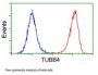Anti-beta IV Tubulin (TUBB4A) Mouse Monoclonal Antibody [Clone ID: OTI3C12]