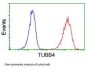 Anti-beta IV Tubulin (TUBB4A) Mouse Monoclonal Antibody [Clone ID: OTI3C12]