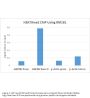 Anti-Dimethyl Histone H3 (Lys79) H3F3A Rabbit Monoclonal Antibody, Clone#RM181