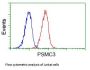 Anti-PSMC3 Mouse Monoclonal Antibody [Clone ID: OTI9F3]