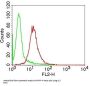 Anti-APIP Antibody (Monoclonal, ABM19C7)