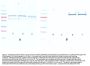 Anti-Akt phospho S473 Monoclonal Antibody