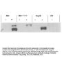 Anti-Phospho-SMAD3 S423/S425 Antibody