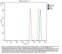 Anti-SSH3BP1/ABI1 Antibody Picoband®