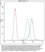 Anti-Apoptosis regulator BAX Bax Antibody Picoband®