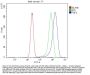 Anti-TNF alpha Antibody Picoband®