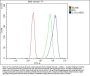 Anti-Cytochrome C/CYCS Antibody Picoband®