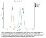 Anti-Cytokeratin 8/KRT8 Antibody Picoband®
