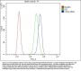 Anti-CD34 Antibody Picoband®