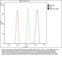 Anti-MEK3/MAP2K3 Antibody Picoband®