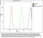 Anti-Galectin 1/LGALS1 Antibody PicobandÂ®