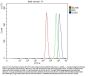 Anti-Cyclin-dependent kinase 4 Cdk4 Antibody Picoband®