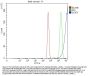 Anti-STAT1 Antibody Picoband®