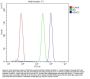 Anti-Histone deacetylase 3 HDAC3 Antibody Picoband®