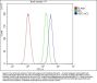 Anti-Heat shock factor protein 2 HSF2 Antibody Picoband®