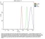 Anti-Integrin alpha 3/ITGA3 Antibody Picoband®