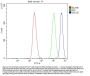 Anti-Ku70/XRCC6 Antibody Picoband®
